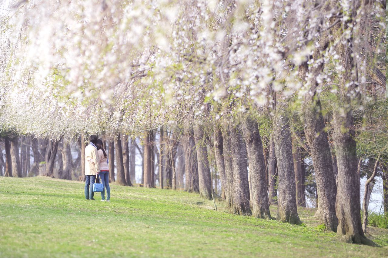 남이섬 트레킹 온 아일랜드